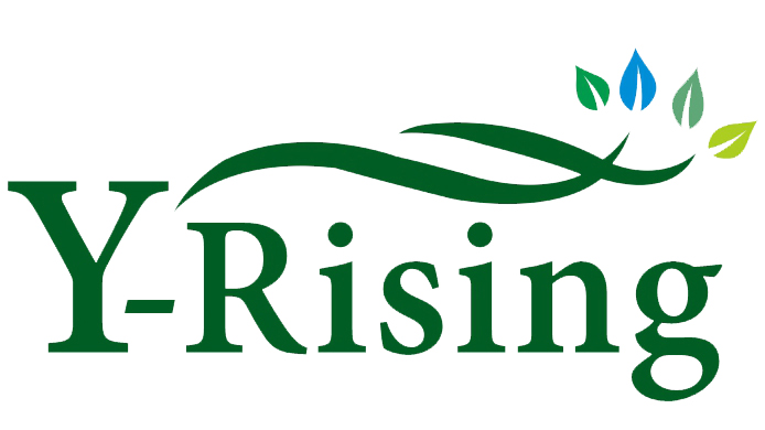 Y-Rising
